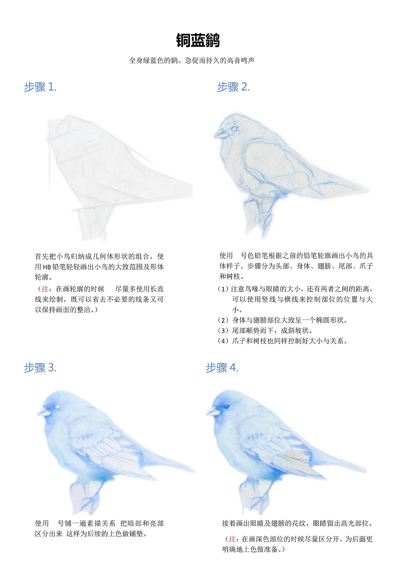 铜蓝鹟——绘画小教程（图ZNDczMDY5NDg=） - 绘画 - 站酷设计师小hua小原创素材 - 站酷ZCOOL