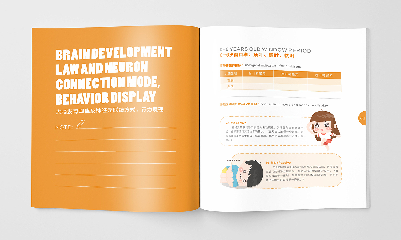 一本有关神奇的大脑的画册设计