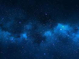 winer winer chicken dinner