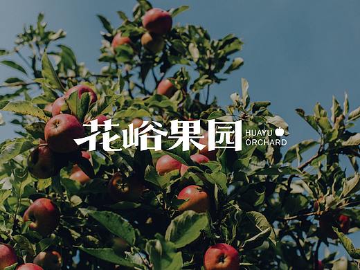 花峪果园 标志设计