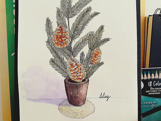 LILING 原创插画 <家里换掉前的装饰植物记录>