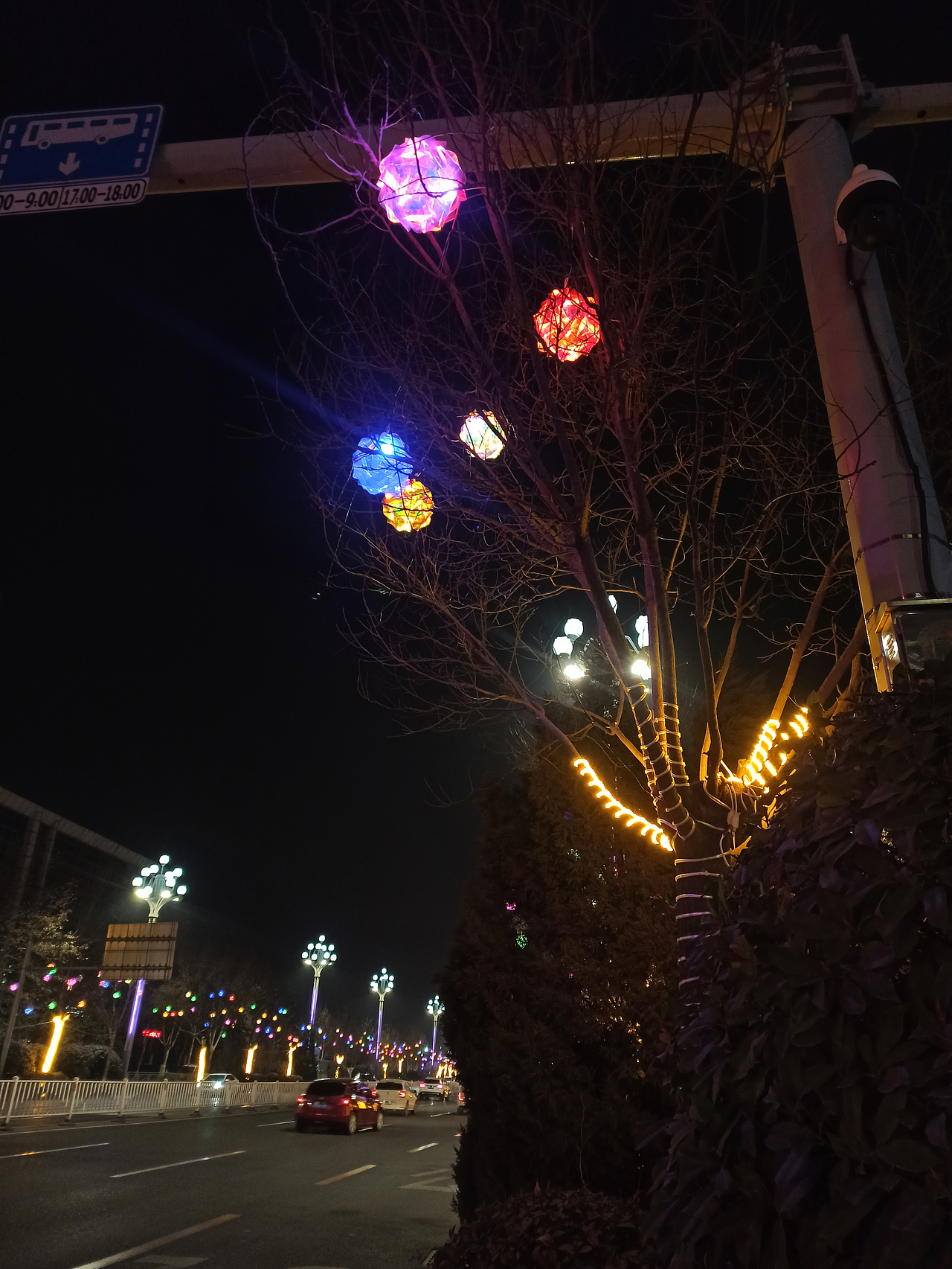 2022年春节树木亮化水母灯 花球灯树木挂件