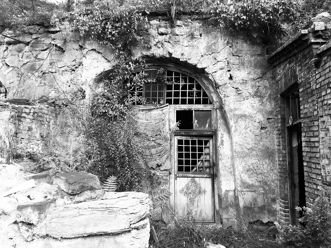 毕业设计：乡村改造计划