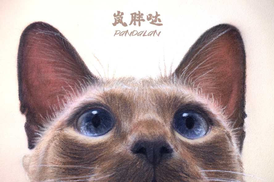 粉彩画《柚子皮》