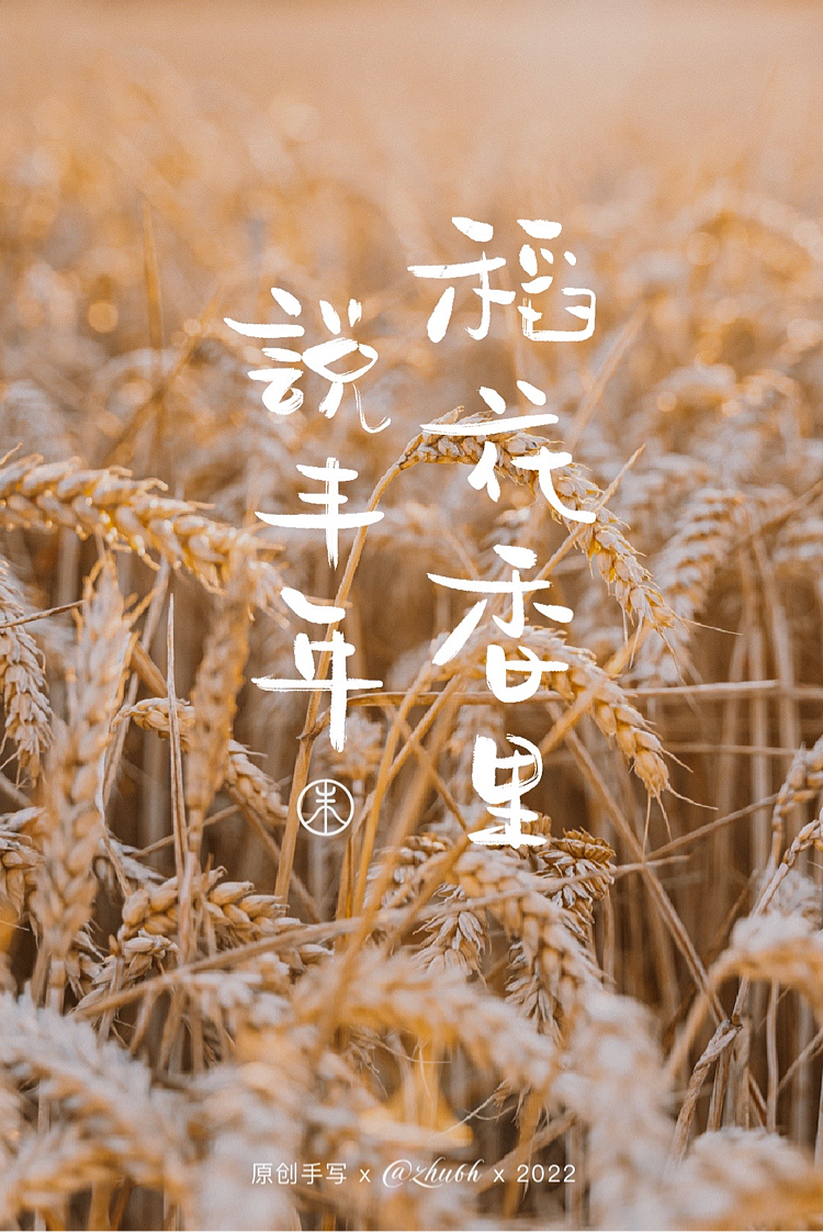 2022年第三波手写字体设计