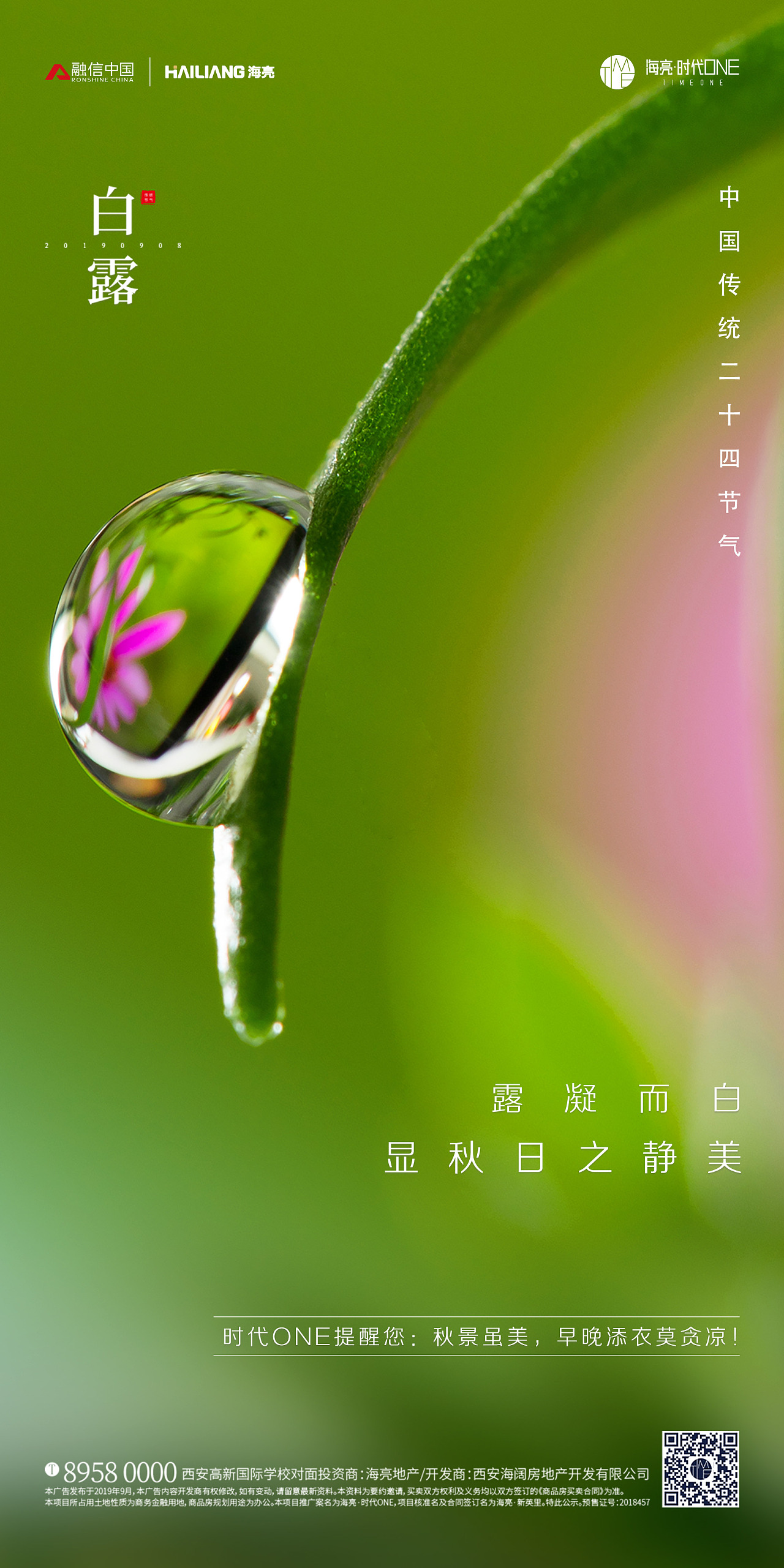 白露节气海报