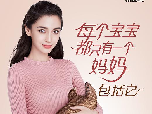 Angelababy 野生救援