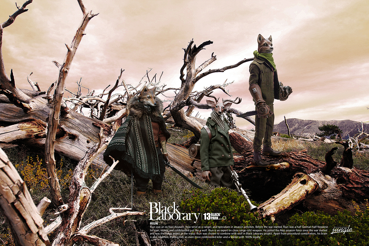 Black 13 Park - Back Ground