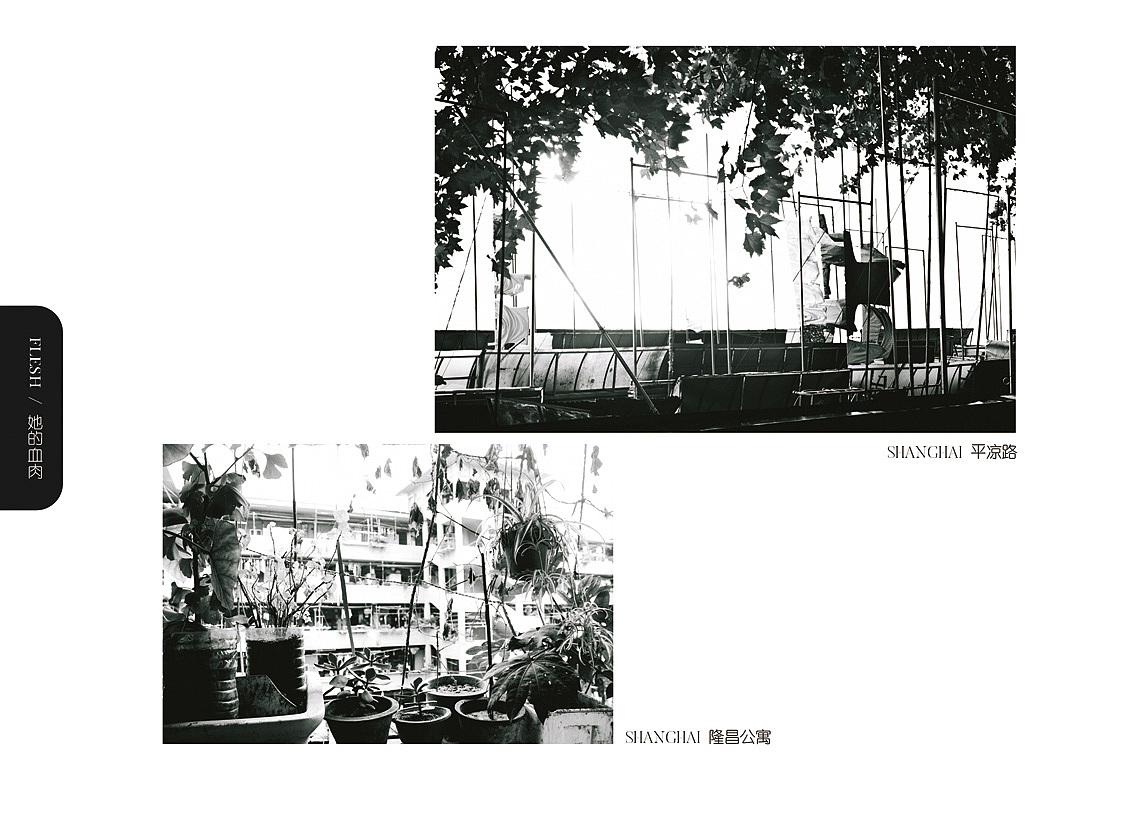 摄影作品画册排版