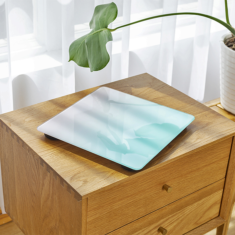 电子秤点火器垃圾桶