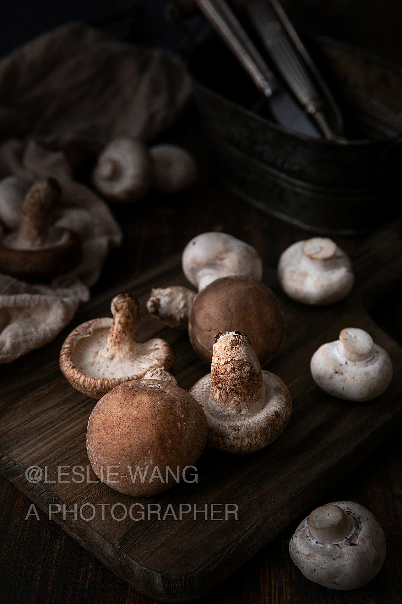 菌 THE MUSHROOM（图ZMTM4NTM3NDY0） - 产品摄影 - 站酷设计师来四粒WANG原创素材 - 站酷ZCOOL