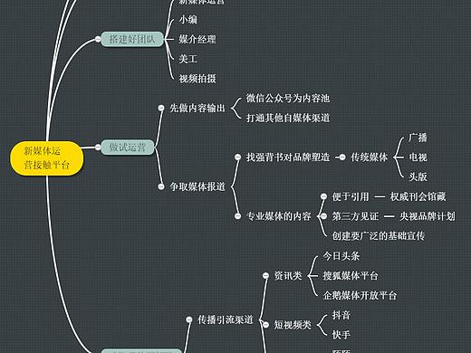 新媒体运营接触平台总结思维导图--迅捷画图