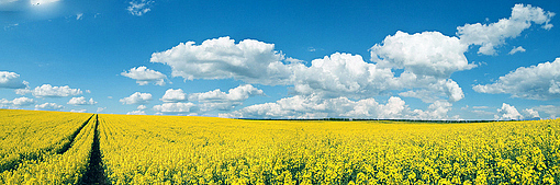 大学摄影随手拍拍（图ZMjUwOTI1MTY=） - 风光摄影 - 站酷设计师传媒摄影人原创素材 - 站酷ZCOOL