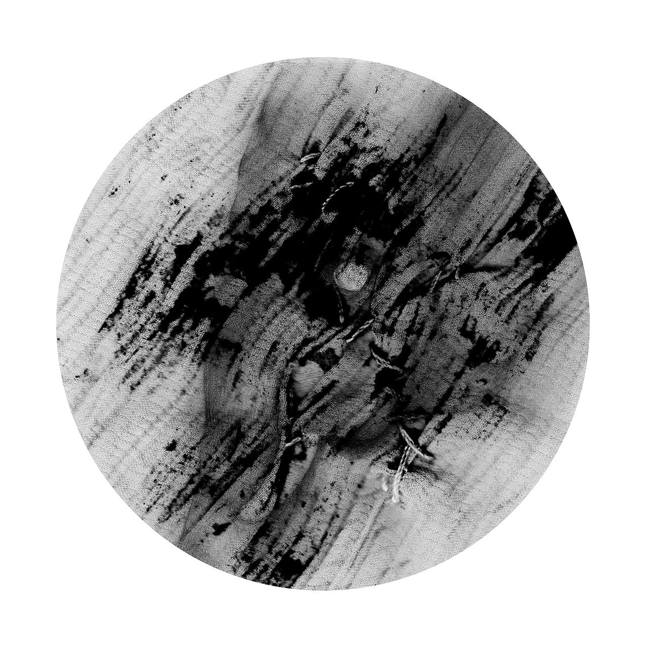 【2355/0511】
好好生活<br>活在当下<br>做只沉默的大象