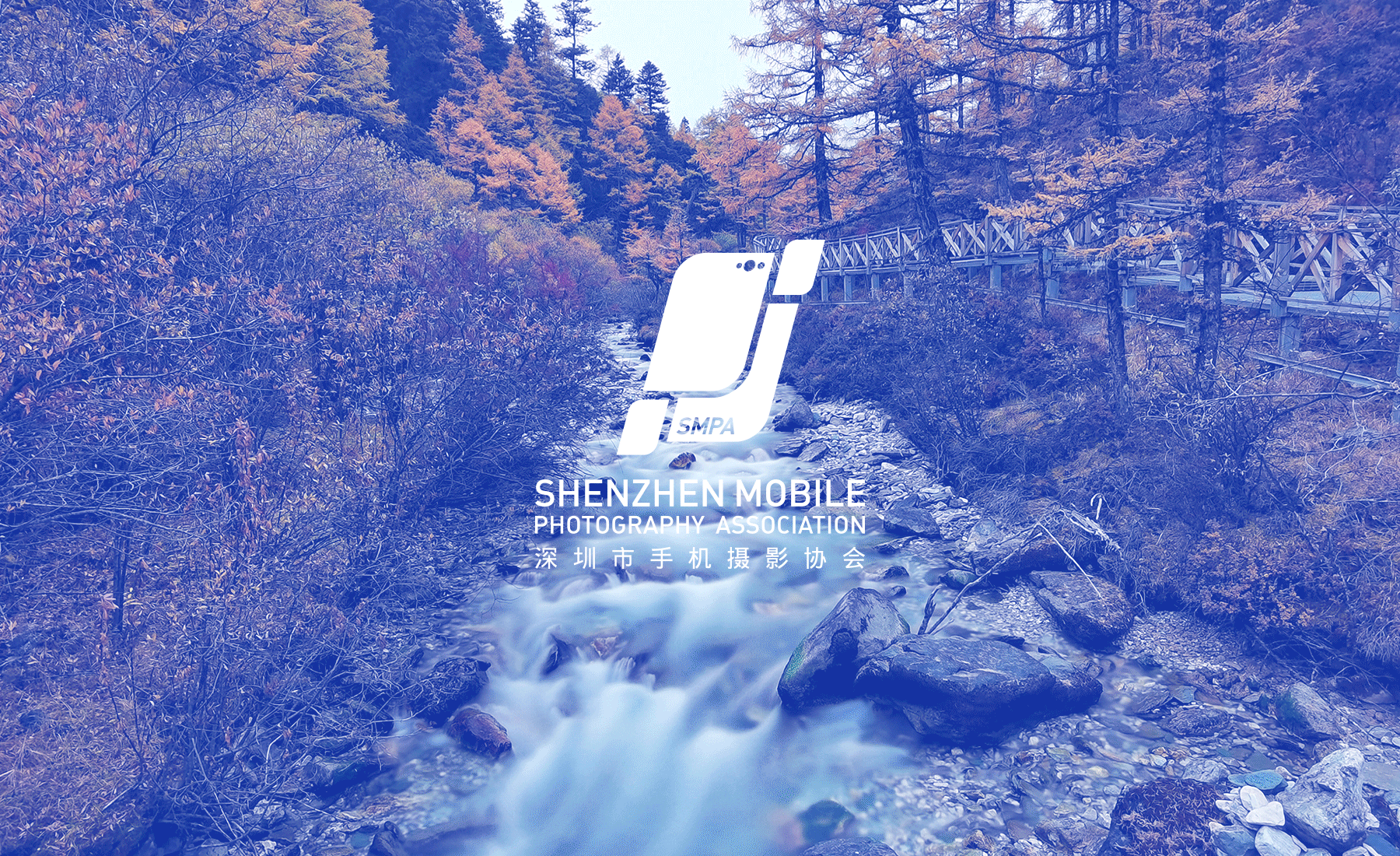 整理一下2019年的一些logo设计(部分)