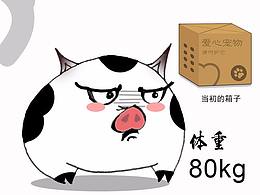 灿烂的故事6