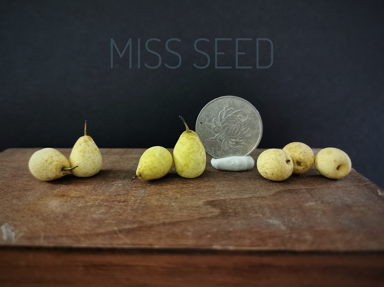 原创手工1/6微缩仿真水果（图ZMjAwOTExMjMy） - 手办/模玩 - 站酷设计师种子猫原创素材 - 站酷ZCOOL