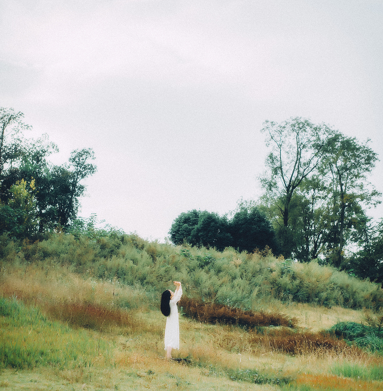 荒岛与飞鸟（图ZMTM1MDY0NDYw） - 人像摄影 - 站酷设计师肖肖路原创素材 - 站酷ZCOOL