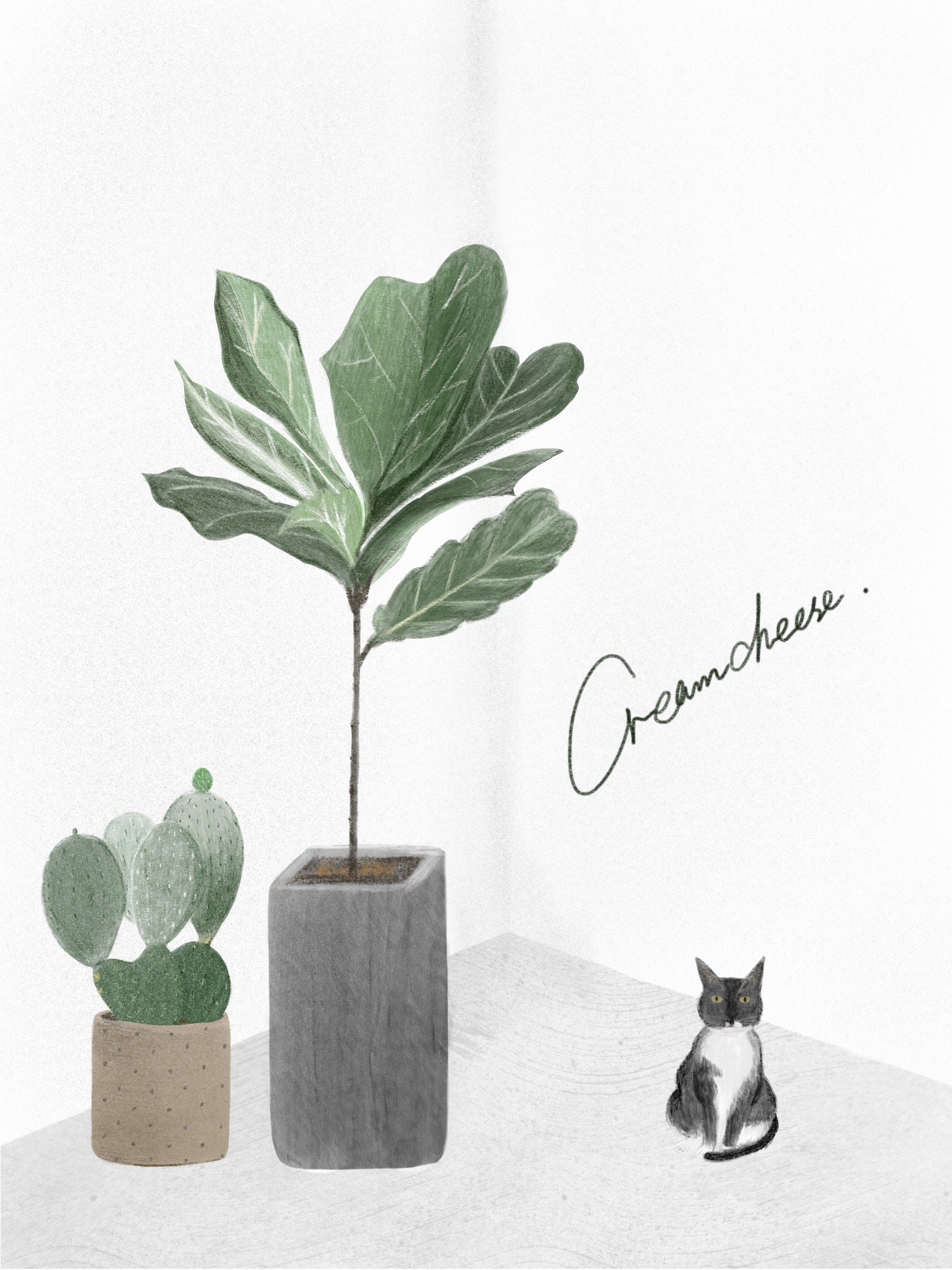 有猫有绿植|插画|插画习作|yuuuii - 原创作品 - 站酷 (zcool)
