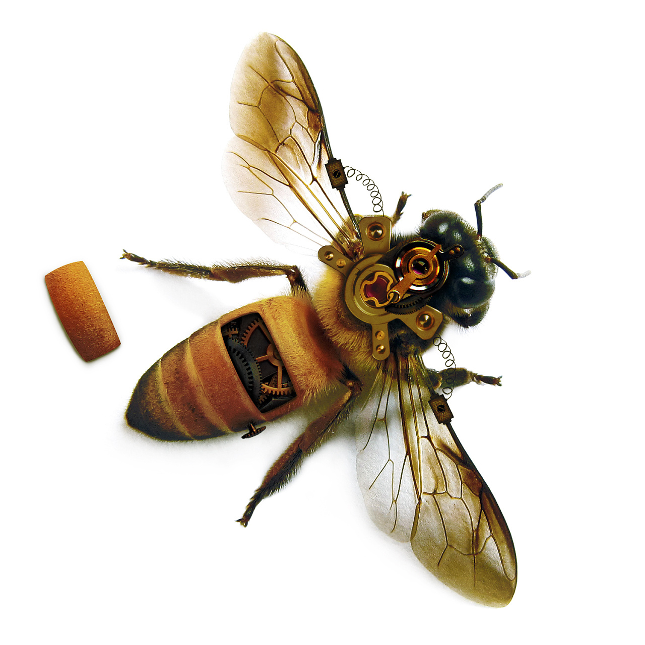 机械蜜蜂—临摹作品