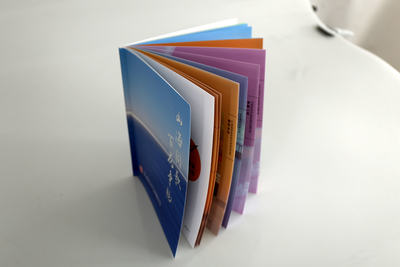 文联第七次代表大会宣传画册