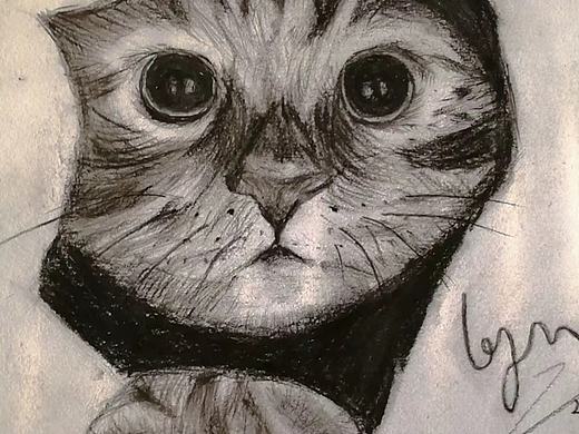 无知小猫窥看 大大的世界