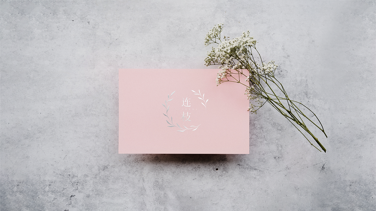 730 | 连枝女装品牌LOGO设计（图ZMjA4OTgwNDMy） - Logo - 站酷设计师七三零原创素材 - 站酷ZCOOL