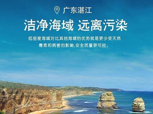 虾详情