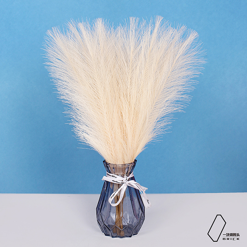 干植物（图ZMjc3MDA3NDk2） - 时尚/艺术摄影 - 站酷设计师一块咸砖头原创素材 - 站酷ZCOOL