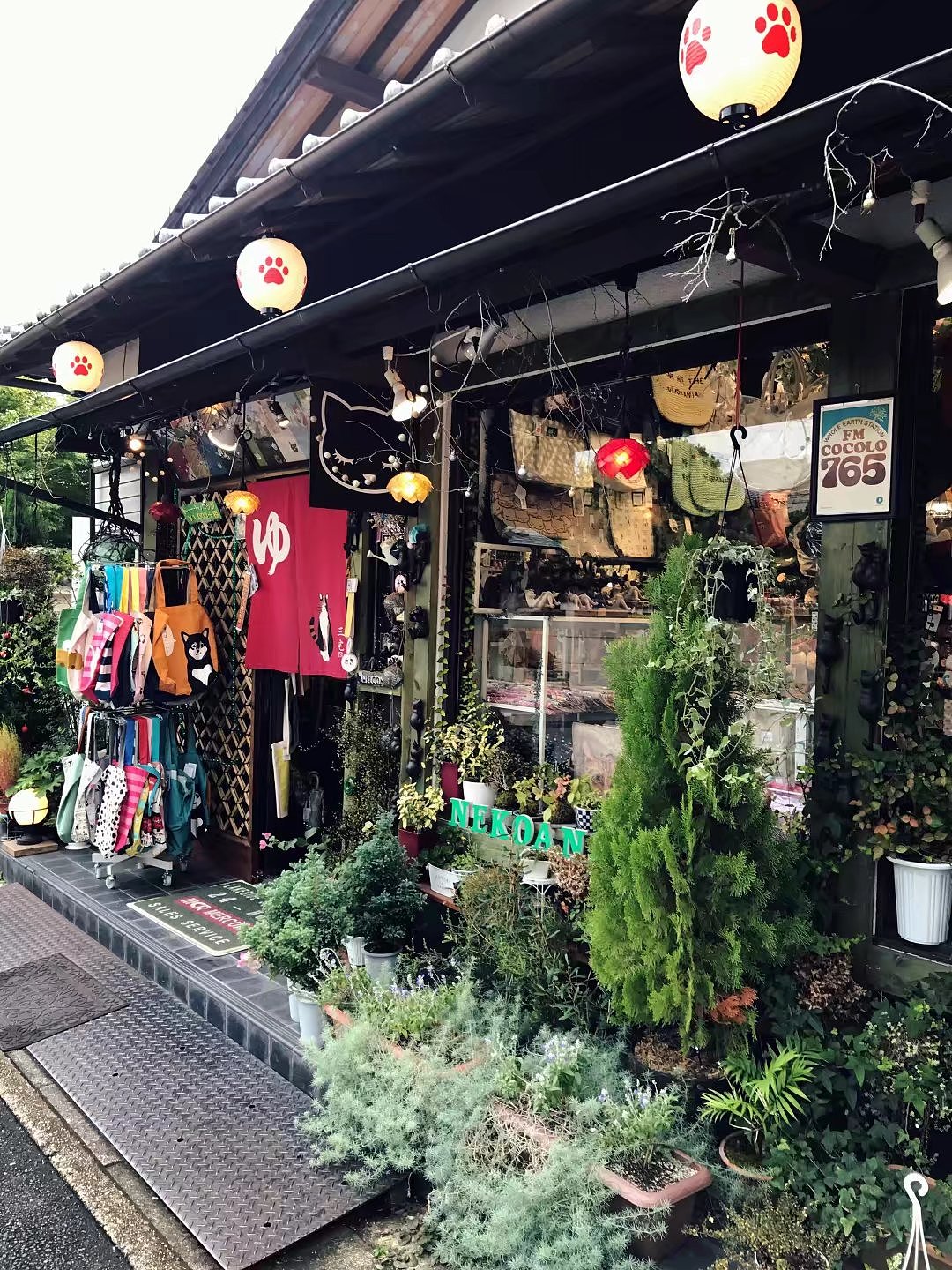 日本京都一周游