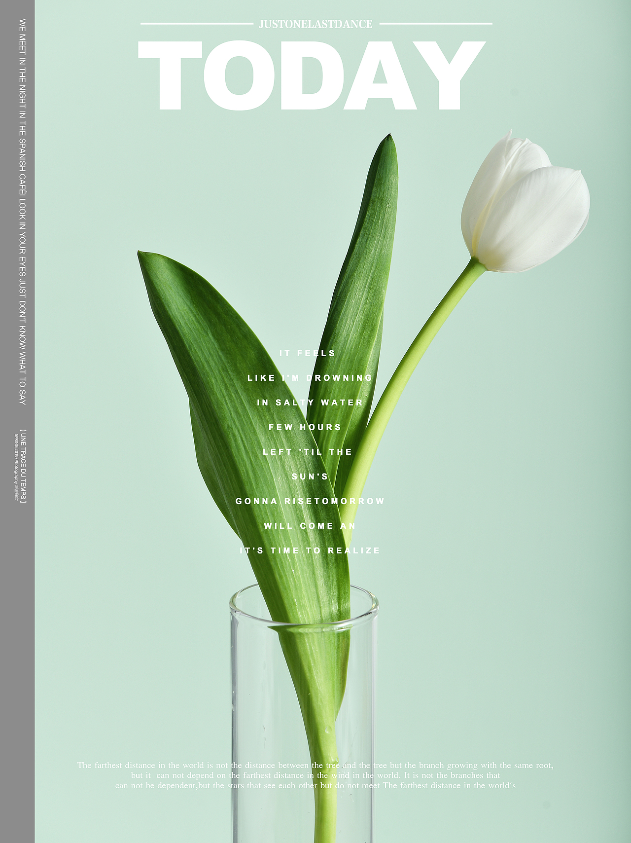 【对色的执念--观己观心】（图ZMTU4NDYzNzc2） - 产品摄影 - 站酷设计师瞌睡蜜蜂原创素材 - 站酷ZCOOL