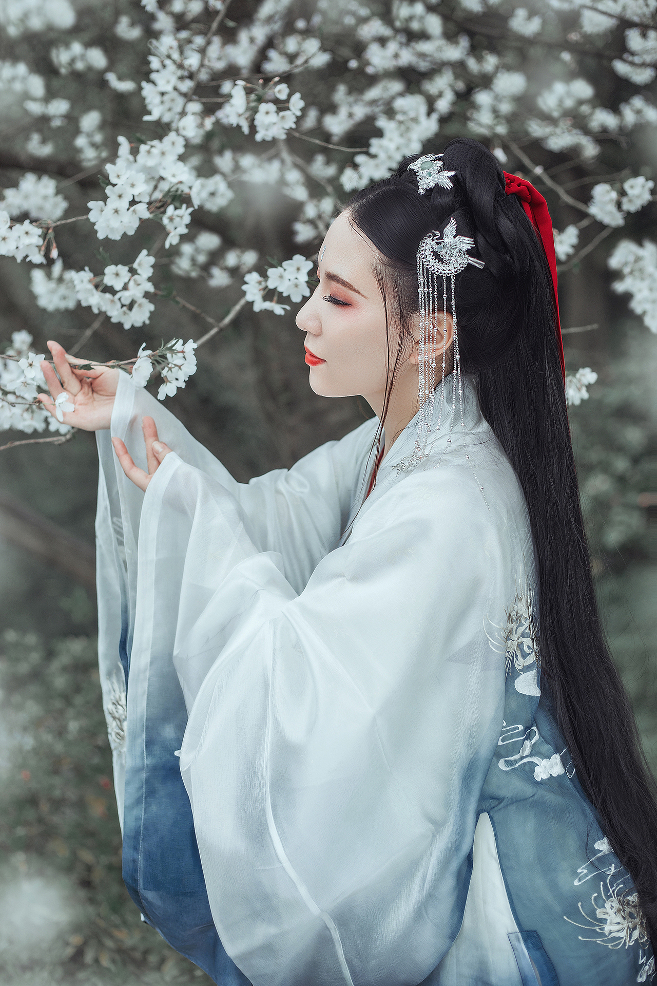樱花（图ZMTUzMDg5ODAw） - 人像摄影 - 站酷设计师Hansiy原创素材 - 站酷ZCOOL