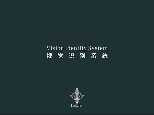  LS.ONLY 酒吧VI手册 LOGO 设计