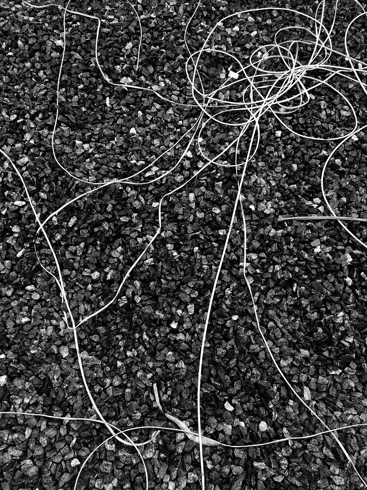 昼与夜--IPHONE 5S