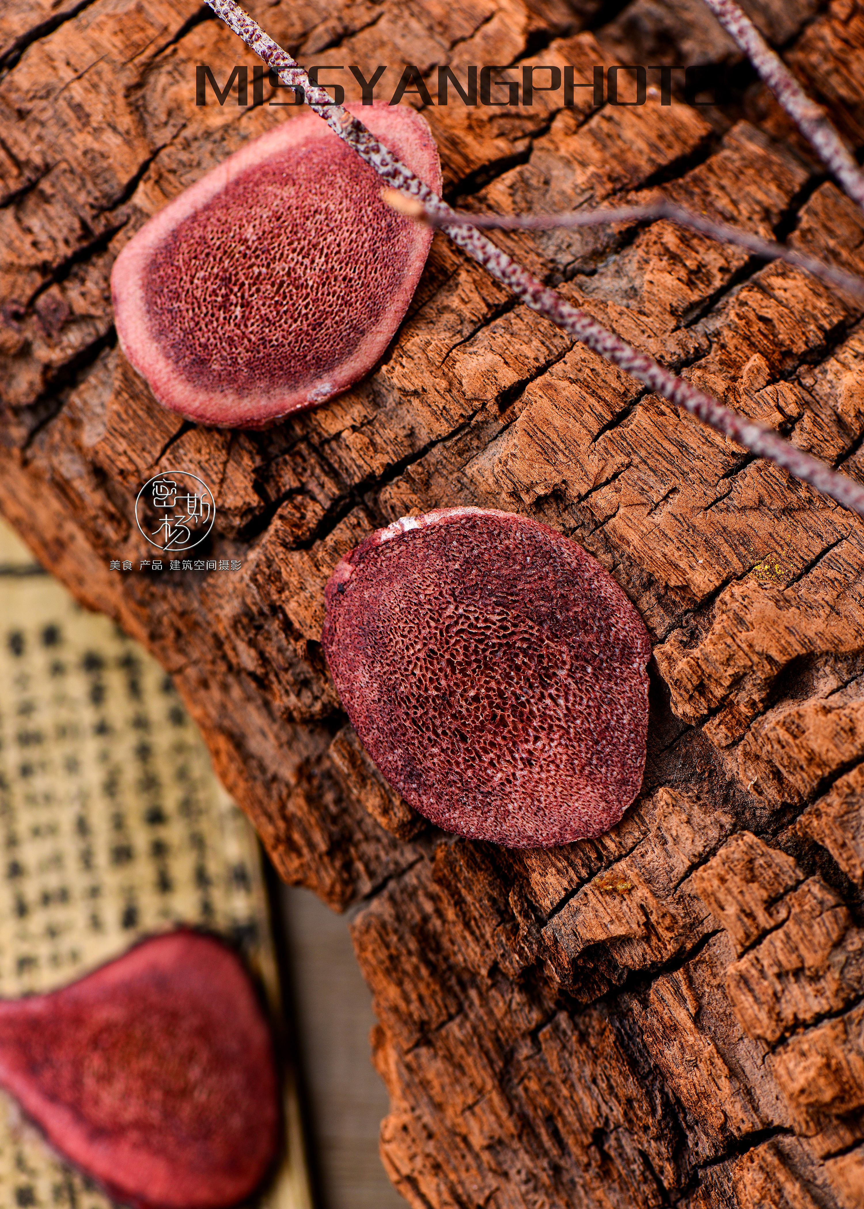 鹿茸-人参-燕窝---滋补佳品-新年快乐