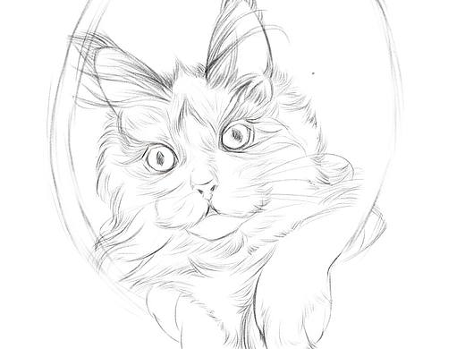 猫星人