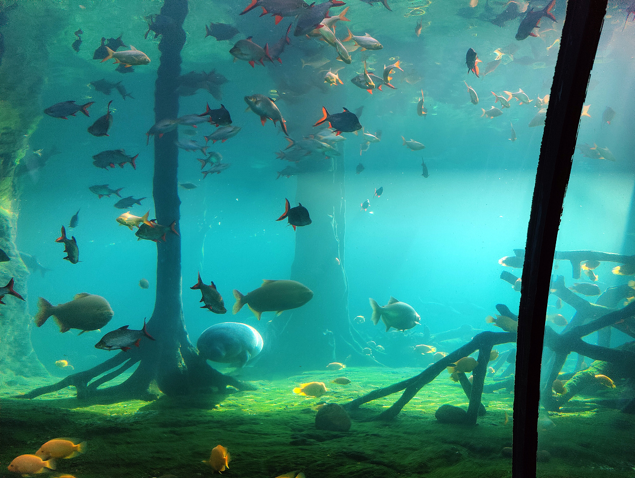 海底世界|摄影|风光摄影|蒜香排骨精 - 原创作品 - 站酷 (zcool)