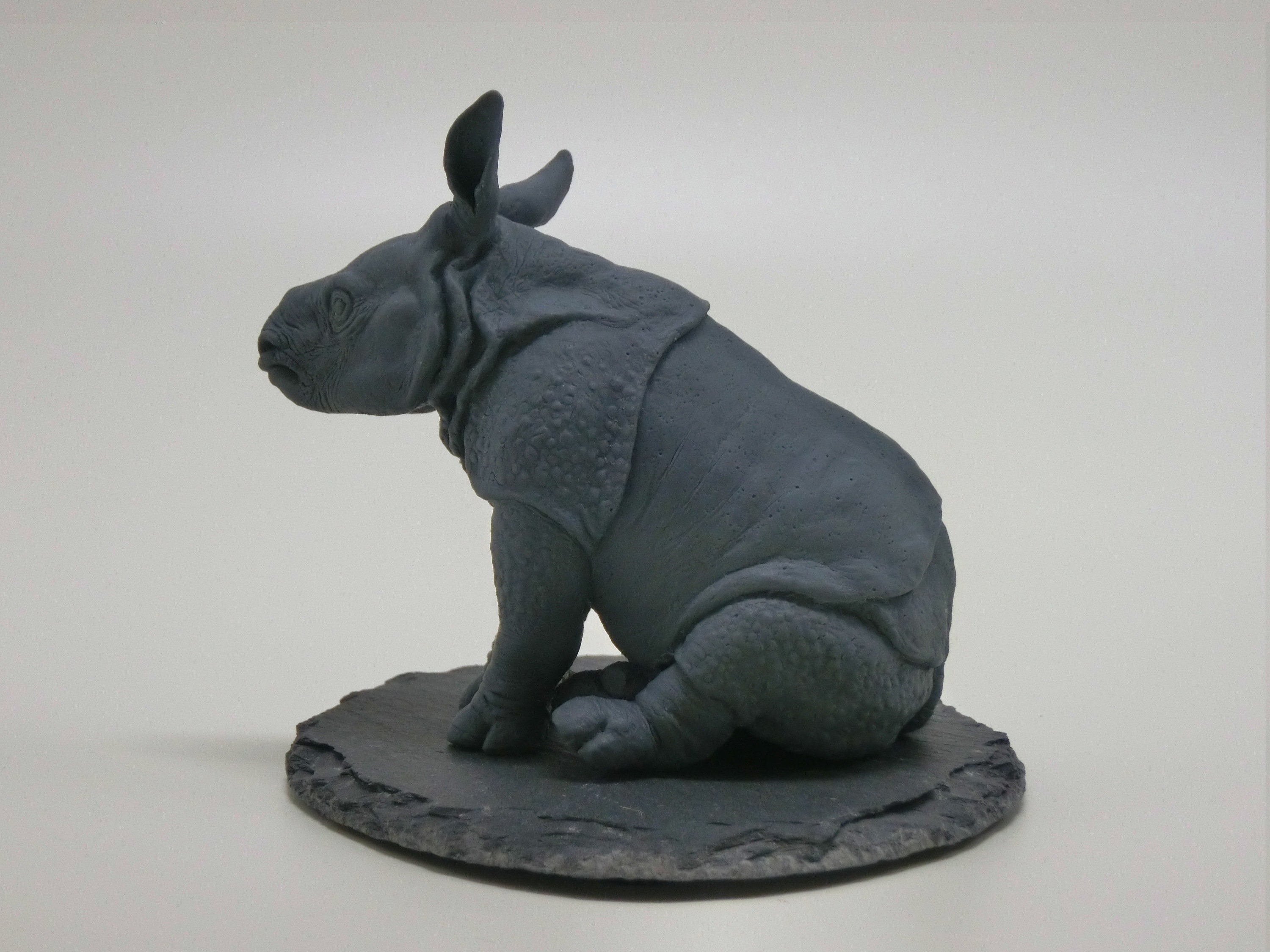 印度犀牛幼崽 白模及泥稿展示