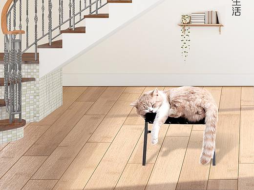 木地板每日日历一星期设计作图签到