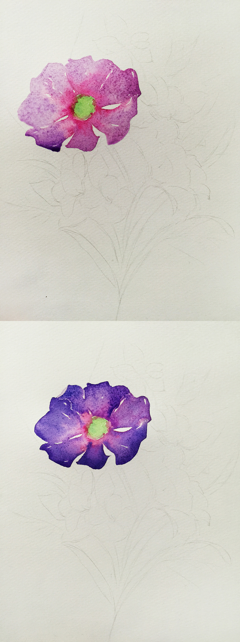 三木花草（小過程）（圖ZNDUxMzg0MTY=） - 商業(yè)插畫 - 站酷設(shè)計師吳都Jasmine原創(chuàng)素材 - 站酷ZCOOL