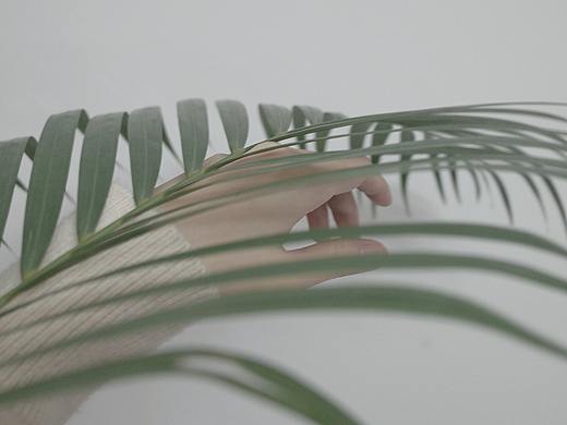 植物001