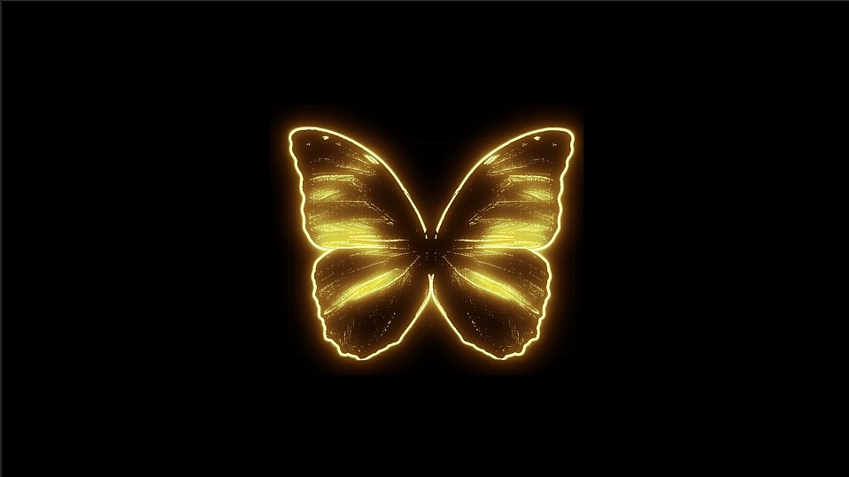 先制作粒子发射的蝴蝶和翅膀的扇动