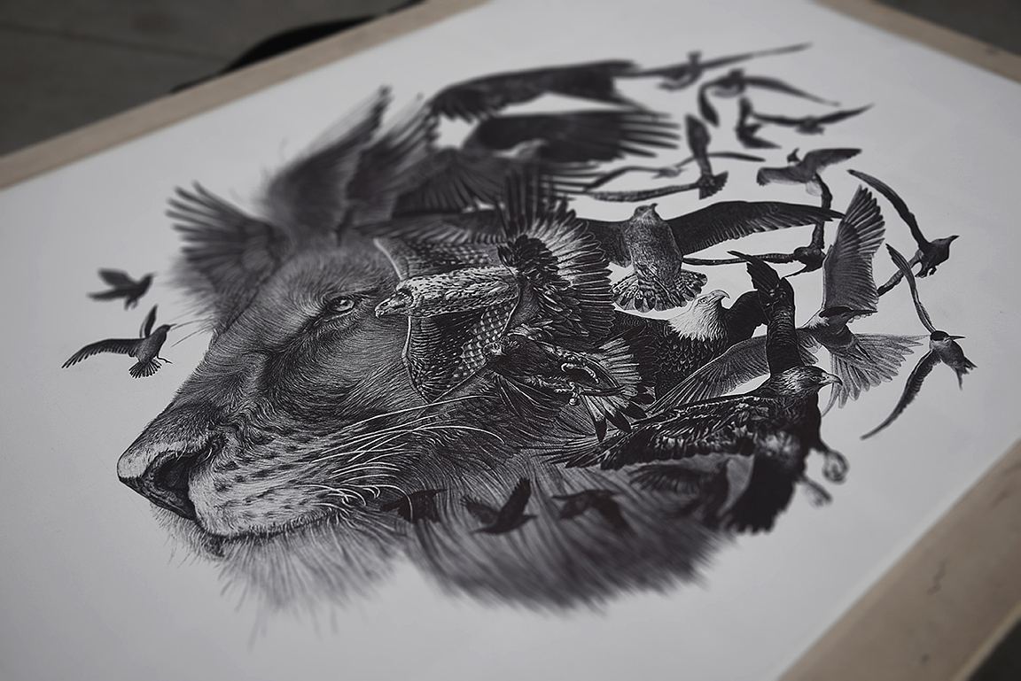 Le roi lion et les oiseaus（图ZNjgyMDYwNjg=） - 艺术插画 - 站酷设计师finciel2014原创素材 - 站酷ZCOOL
