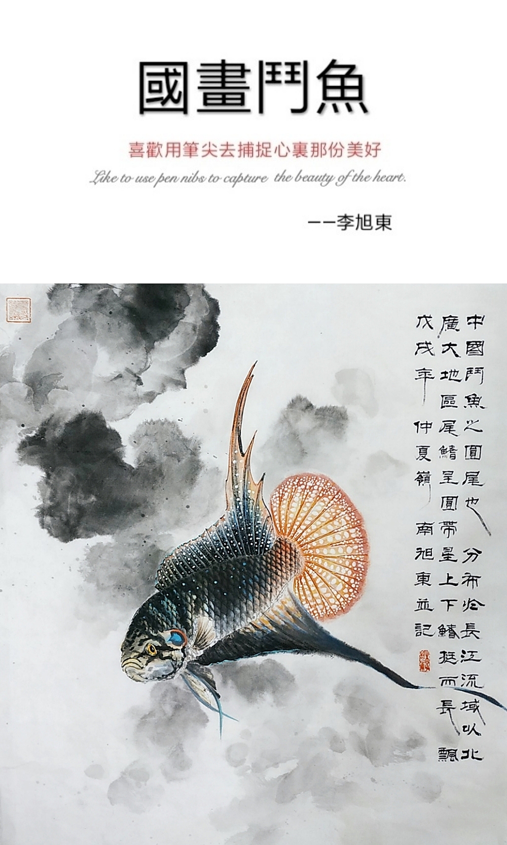 国画斗鱼之圆尾