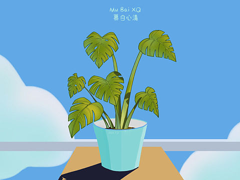 云端的小盆栽