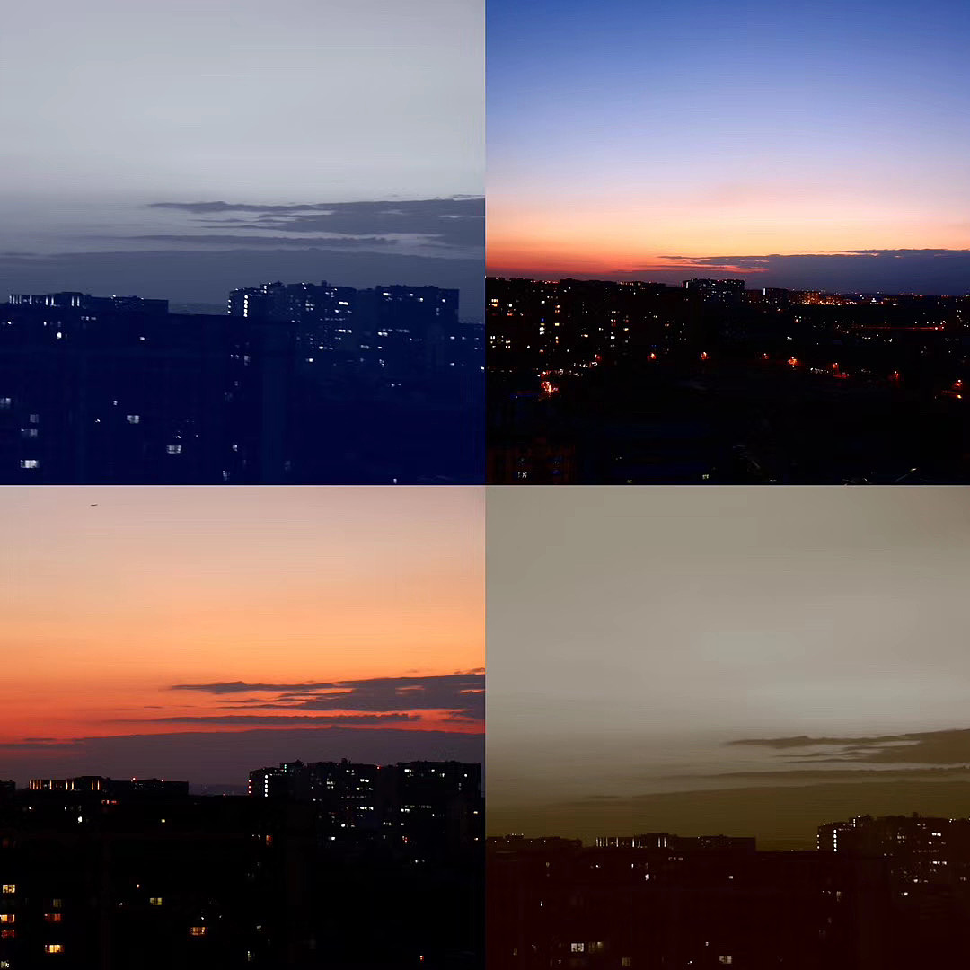 镜头下的小可爱们