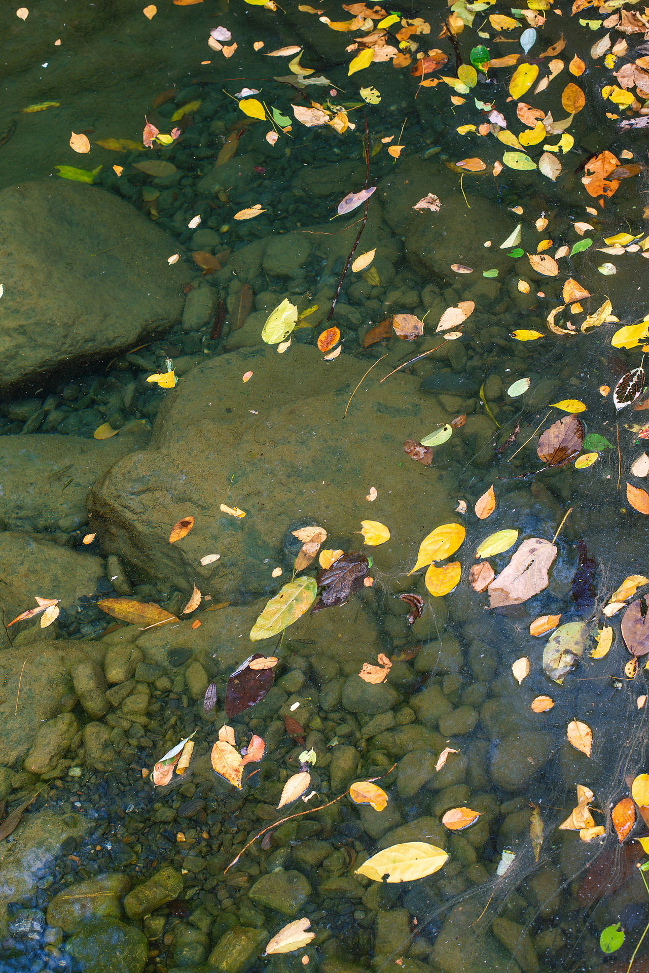 山野溪谷（图ZMzE0NTAyNDQ4） - 其他摄影 - 站酷设计师无所谓对错原创素材 - 站酷ZCOOL