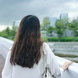 一条小何的头像