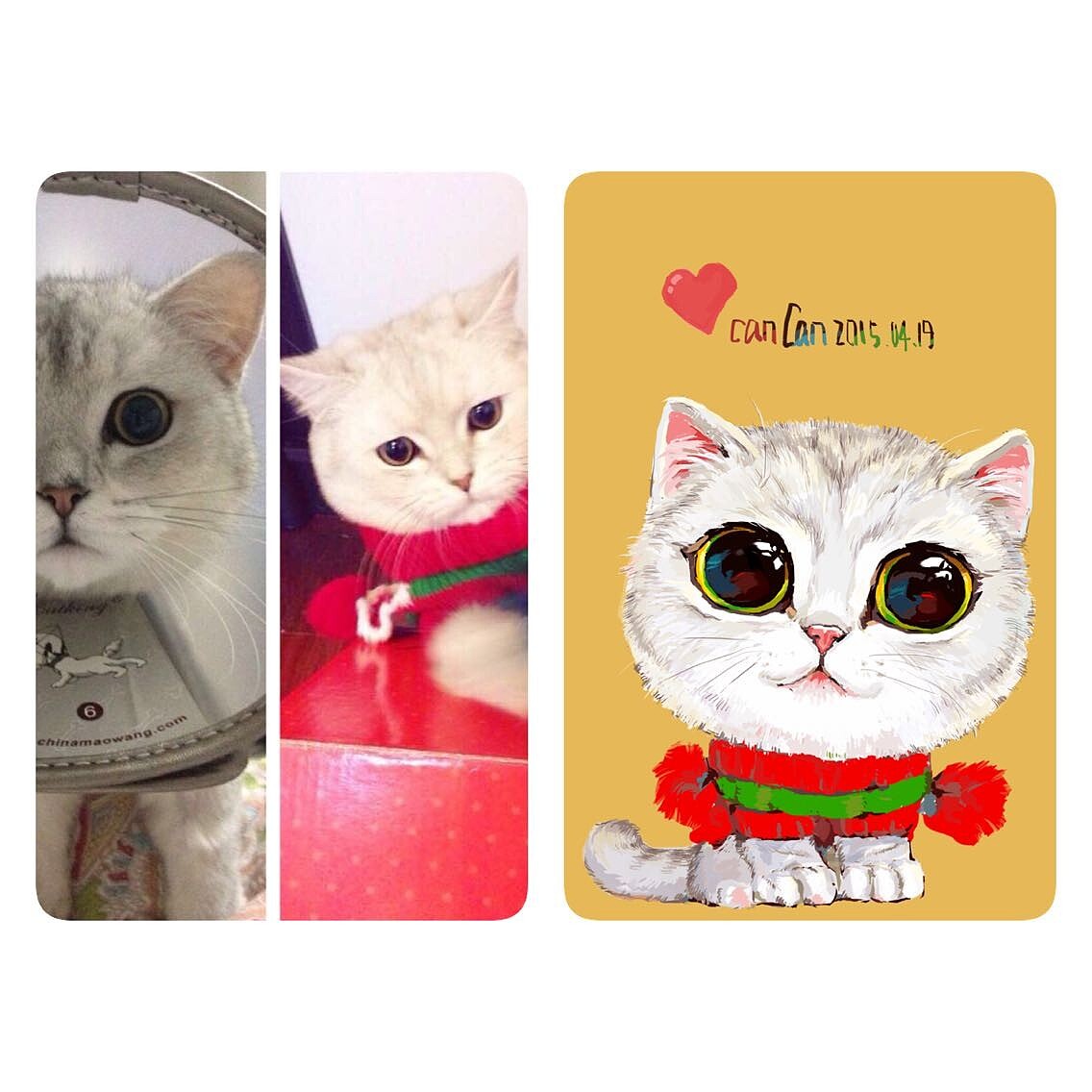 canCan画┃阿猫阿狗们（第一期）（图ZMjc1MjUzOTY=） - 商业插画 - 站酷设计师__canCan__原创素材 - 站酷ZCOOL