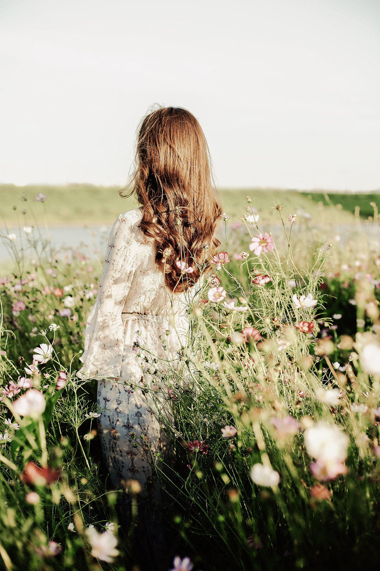 站在花草中的背影女孩图片
